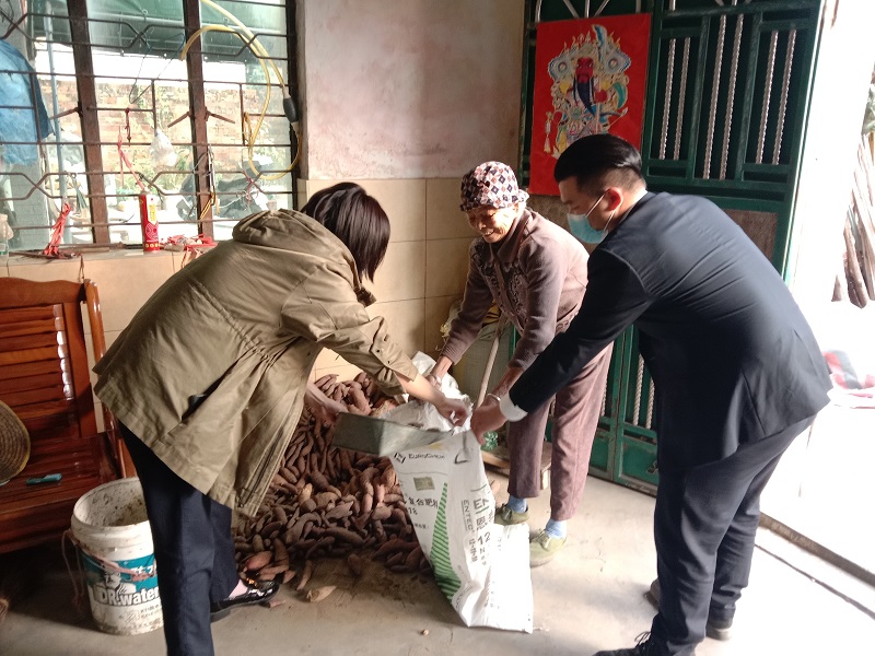 图片1.jpg