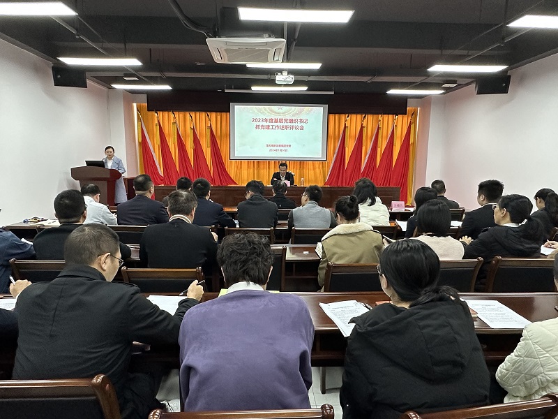 图片2.第一支部书记述职.jpg
